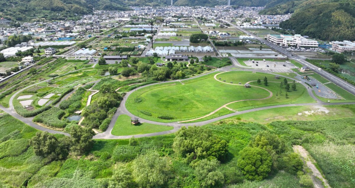 あさはた緑地